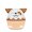 Chien Marron