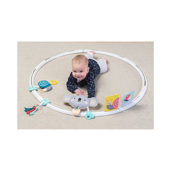 Taf Toys Cerceau d'activités évolutives  