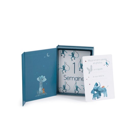 Moulin Roty Cartes Mes 12 premiers mois Sous mon baobab   Moulin Roty Cartes Mes 12 premiers mois Sous mon baobab