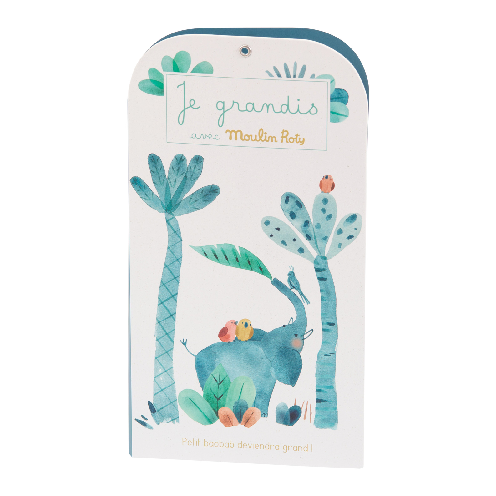 Toise carnet Sous mon baobab MULTICOLORE Moulin Roty