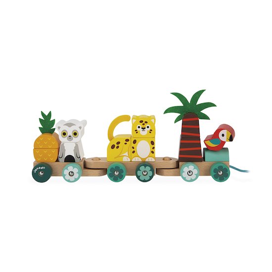 Janod Train en bois Tropical Tropik à Tirer Multicolore 