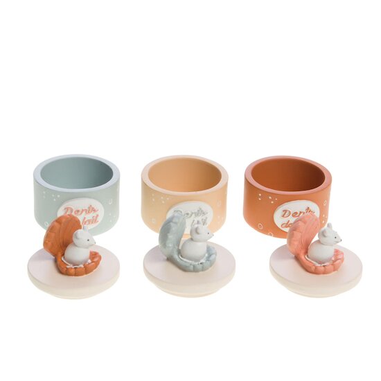 Amadeus Boite à dent Coquillàge 3 assortiments Multicolore 