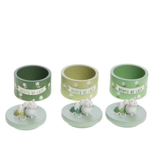 Amadeus Boite à dent Montagne 3 assortiments Multicolore 