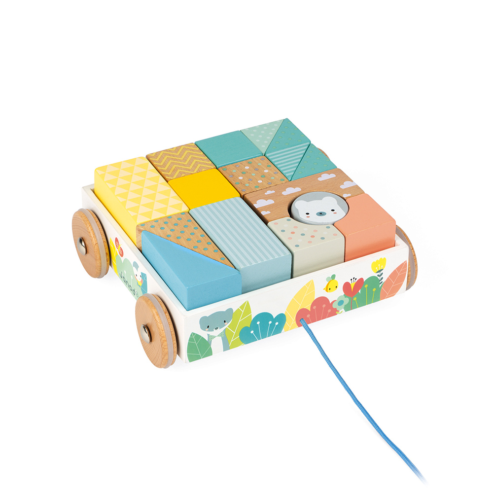 Janod - Chariot de cubes à promener Pure MULTICOLORE Janod