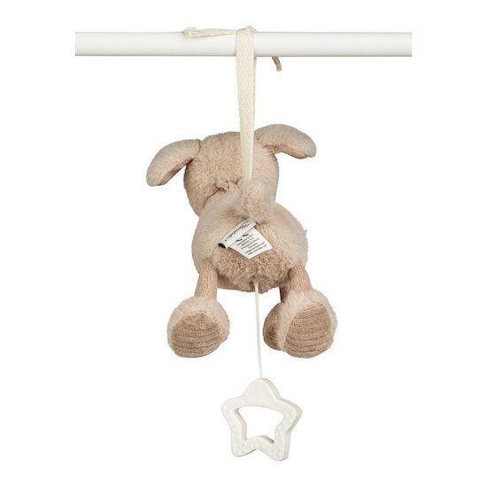 Sterntaler Peluche musicale petite Chien Lucky Gris-Beige  Sterntaler Peluche musicale petite Chien Lucky Gris-Beige