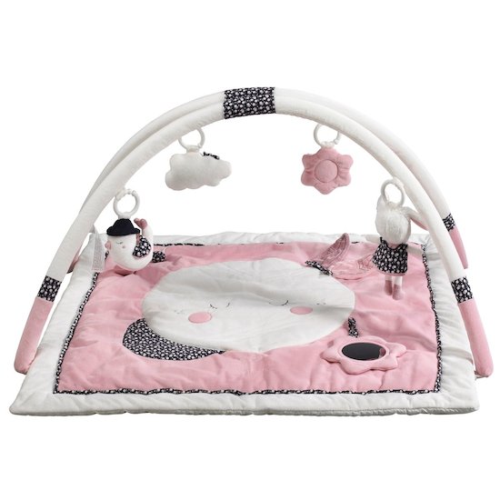 Tapis D Eveil Bebe Achat De Portique Pour Bebe En Ligne Adbb