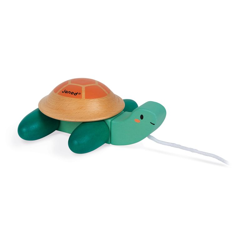 Tortue à promener (bois) VERT Janod