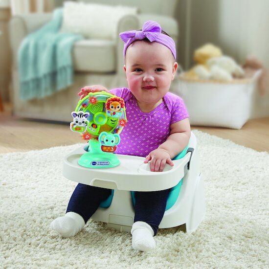 Vtech Baby La grande roue des baby loulous   Vtech Baby La grande roue des baby loulous