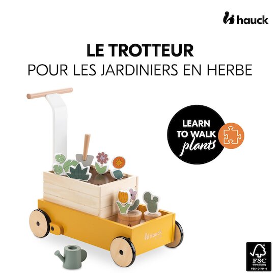 Hauck Chariot de marche Learn To Walk Plants  Hauck Chariot de marche Learn To Walk Plants