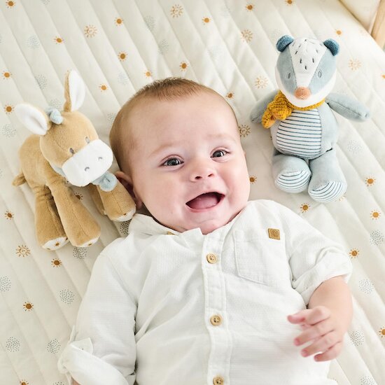 Nattou Mini Peluche Felix le blaireau Felix et Leo Bleu  Nattou Mini Peluche Felix le blaireau Felix et Leo Bleu