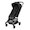 Onyx Black