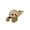 Beige Beige