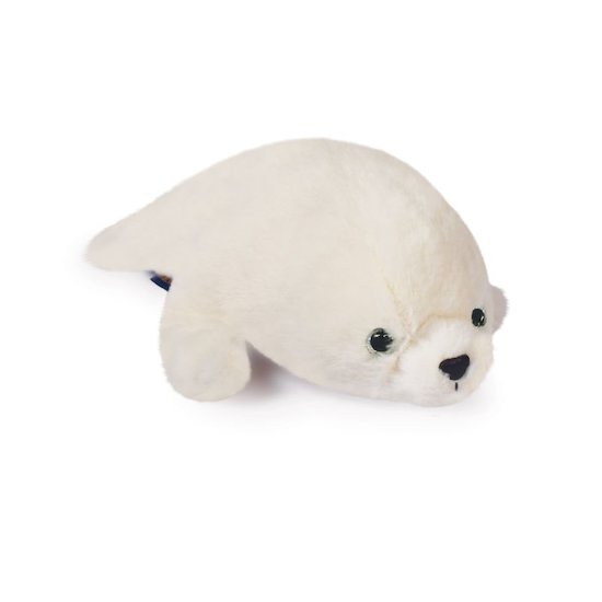 Bebe Phoque Histoire D Ours De Histoire D Ours Bebe Phoque Histoire D Ours De Histoire D Ours