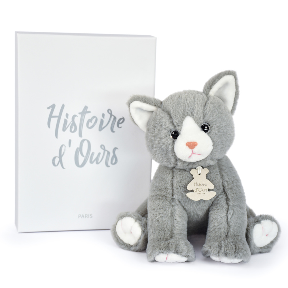 HISTOIRE D'OURS - Bébé Chat GRIS Histoire d'Ours