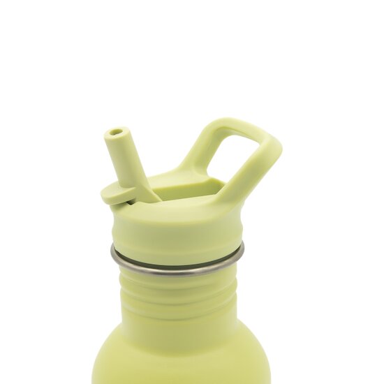 Sassi Junior Gourde Inox Panda Vert 500 ml 