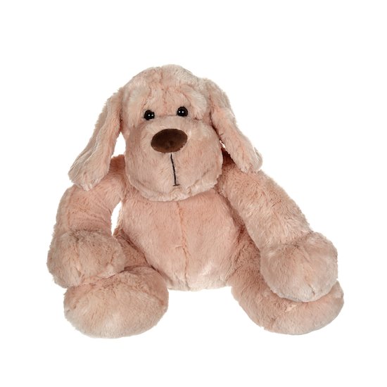 Gipsy Chien Flatoutou  50 cm