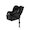 Moon Black New