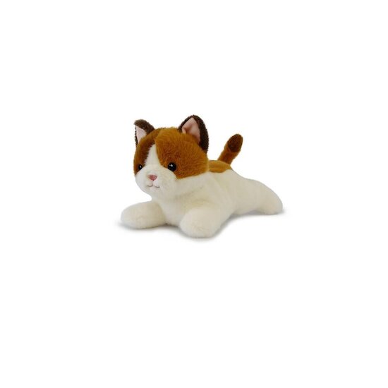Histoire d'Ours Peluche Chat Les P'tits Relax Blanc 22 cm Histoire d'Ours Peluche Chat Les P'tits Relax Blanc 22 cm