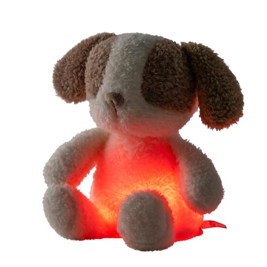 Nattou Veilleuse Mini Peluche Chien Bouclette Teddy Ecru  Nattou Veilleuse Mini Peluche Chien Bouclette Teddy Ecru