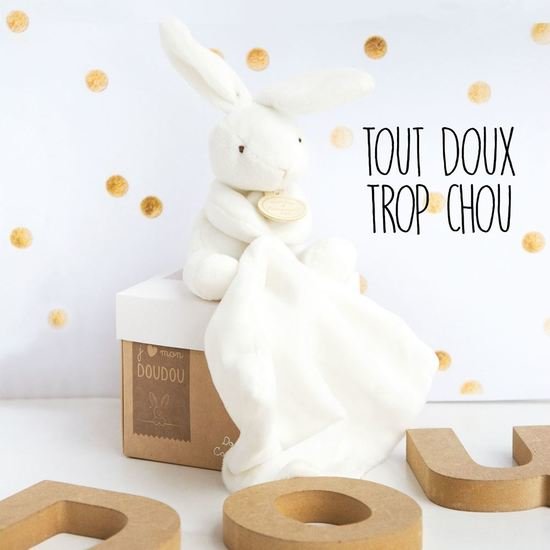 doudouetcielapinmouchoirenboitefleurnocolor-3561860003039-5BaseMedia-96Wx96H.jpg
