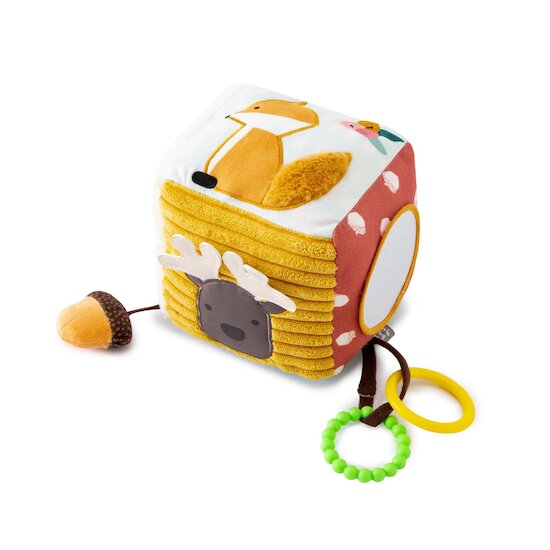 Little big friends Cube d'éveil Forêt  Little big friends Cube d'éveil Forêt