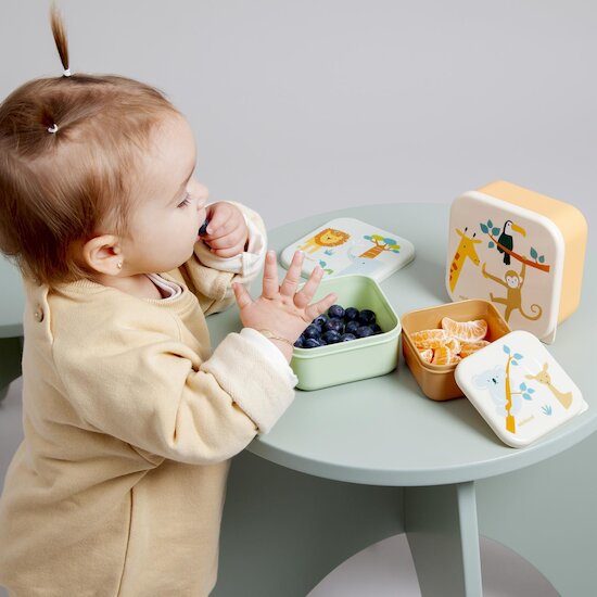 Miniland Lot de 3 boîtes à Lunch Jungle Multicolore 