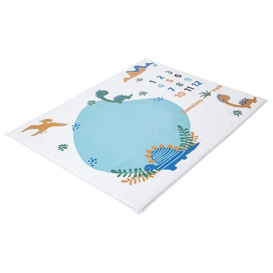 BabyCalin Tapis de Jeu + Anniversaire  Funny dino 72,5x92 cm BabyCalin Tapis de Jeu + Anniversaire  Funny dino 72,5x92 cm