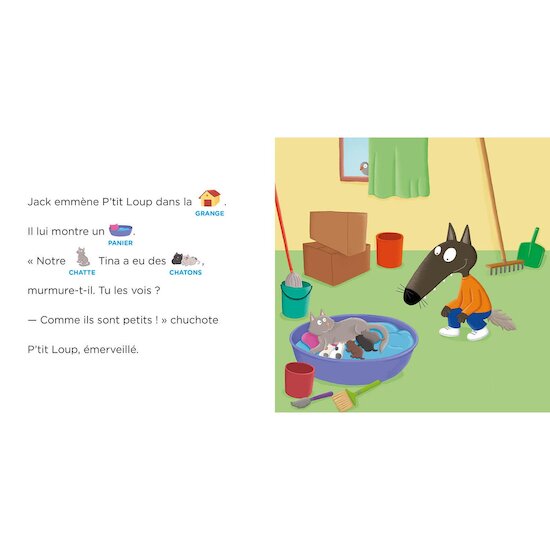 Auzou Livre P'tit loup aime les bébés animaux Multicolore  Auzou Livre P'tit loup aime les bébés animaux Multicolore
