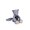 Gris