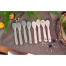 maxibabylotde4cuillereslittleforestrenard-maxibabylotde4cuillereslittleforestrenard-1BaseMedia-96Wx96H.jpg