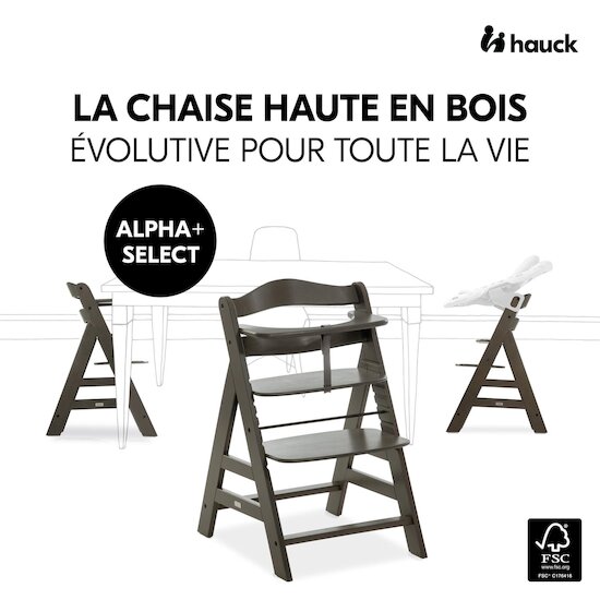 Hauck Chaise Haute En Bois Alpha Select Charcoal  Hauck Chaise Haute En Bois Alpha Select Charcoal