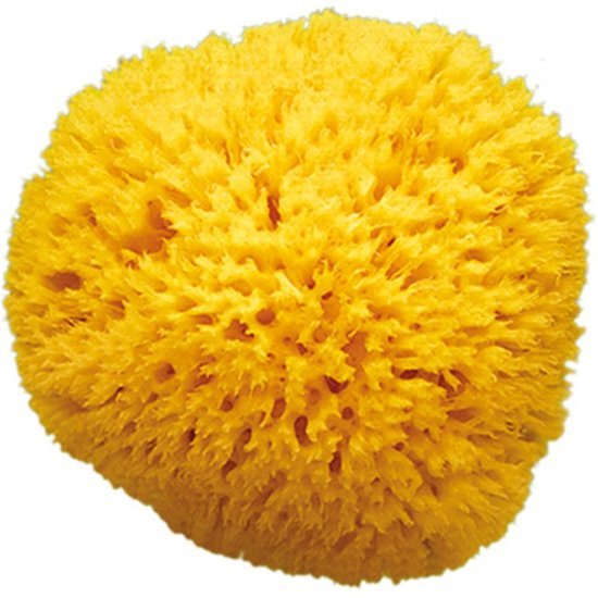OkBaby Eponge naturelle Honeycomb Taille 12  