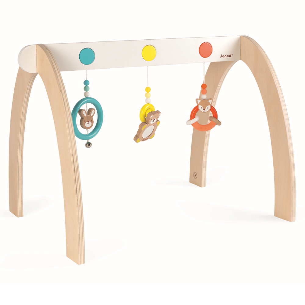 Portique D'Activites Baby Pop MULTICOLORE Janod