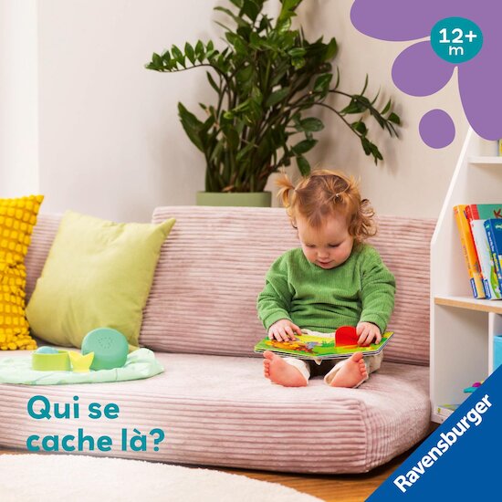Play+ Livre Peux-tu me trouver ? Petit renard Multicolore 
