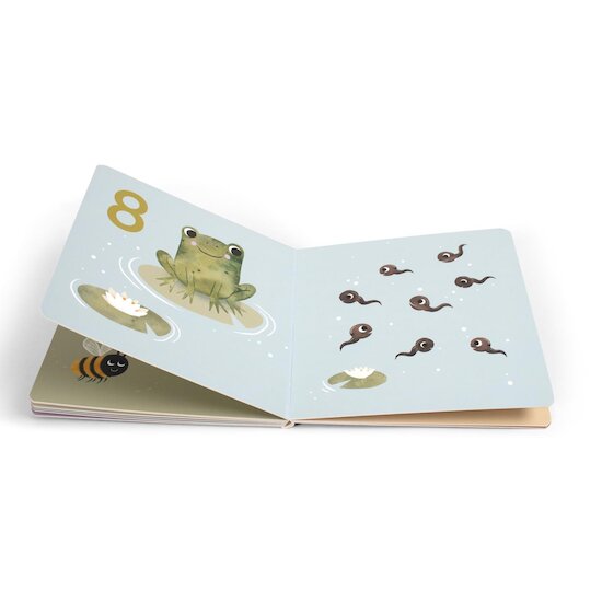 Filibabba Livre bébé Compter jusqu'à 10 Multicolore  Filibabba Livre bébé Compter jusqu'à 10 Multicolore